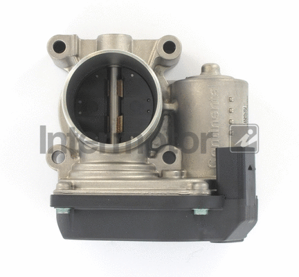 Throttle Body (68247)