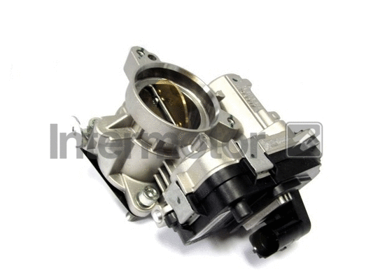 Throttle Body (68323)