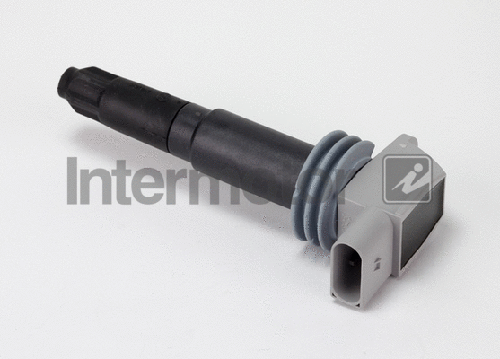 Ignition Coil (12117)