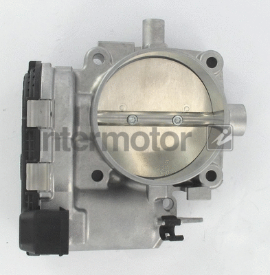 Throttle Body (68434)