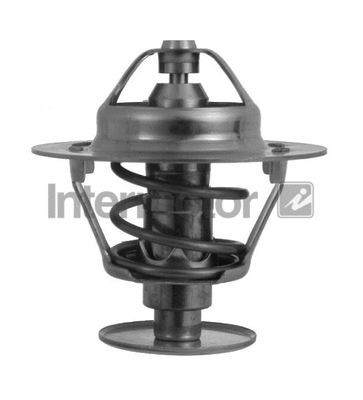 Thermostat, coolant (75205)