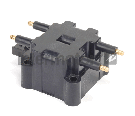 Ignition Coil (12100)