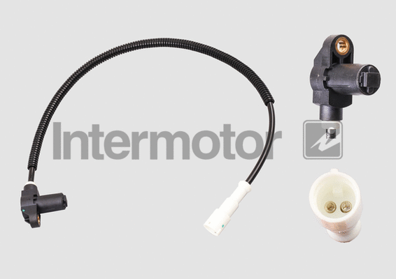 Sensor, wheel speed (60729)