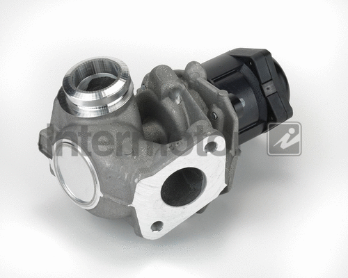 EGR Valve (14973)