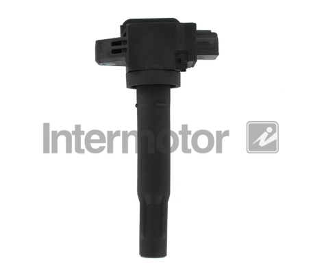 Ignition Coil (12263)