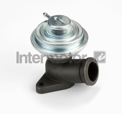 EGR Valve (14306)