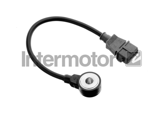 Knock Sensor (19529)