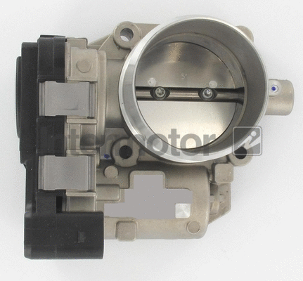 Throttle Body (68450)