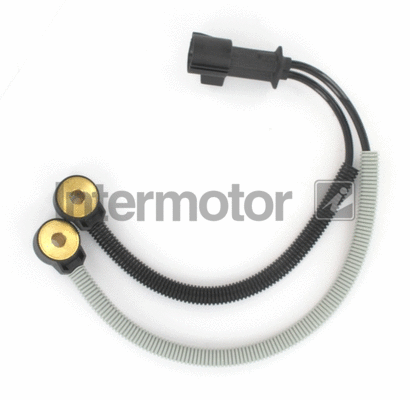 Knock Sensor (19552)