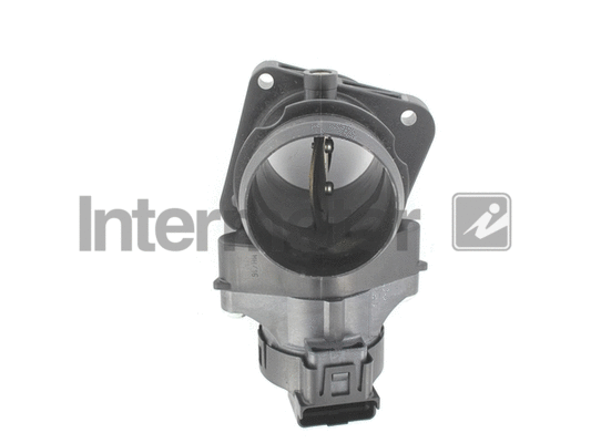 Throttle Body (68376)