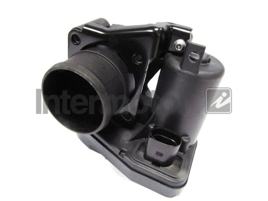 Throttle Body (68307)