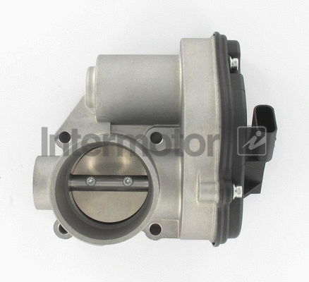 Throttle Body (68401)