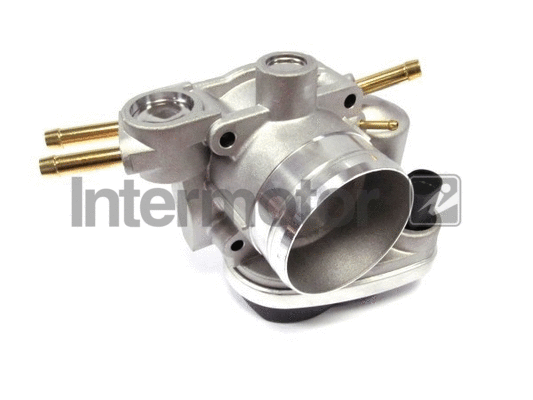 Throttle Body (68213)