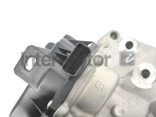 EGR Valve