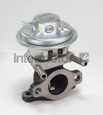 EGR Valve (14377)