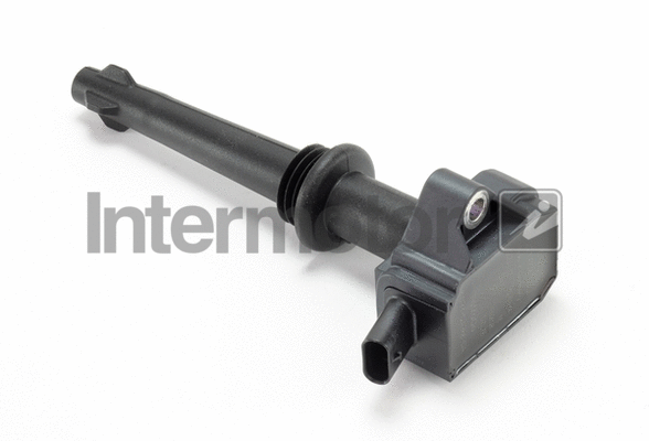 Ignition Coil (12429)