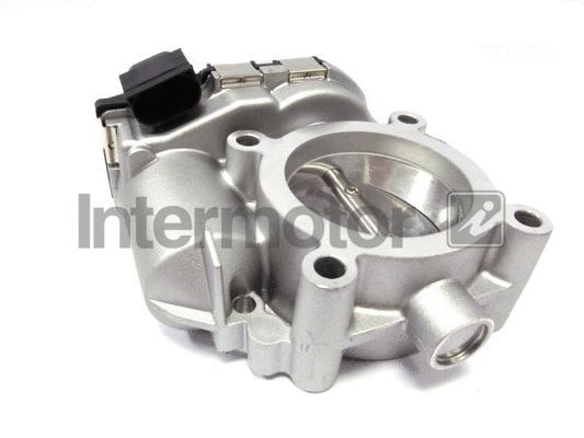Throttle Body (68360)