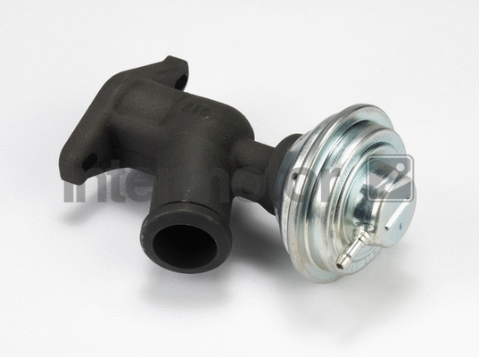 EGR Valve (14993)