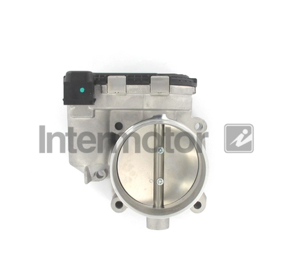 Throttle Body (68466)