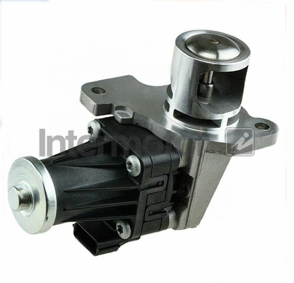 EGR Valve (18099)