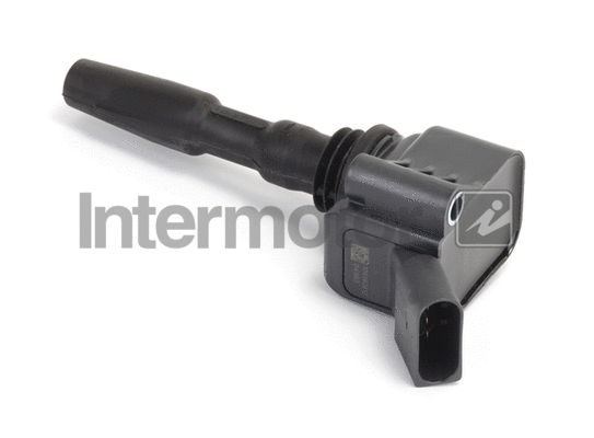 Ignition Coil (12101)