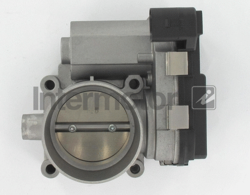 Throttle Body (68426)