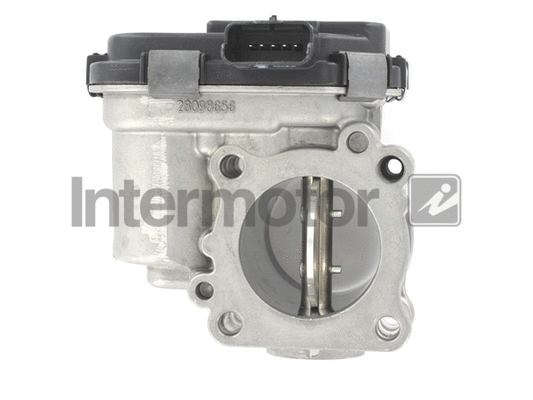 Throttle Body (68372)