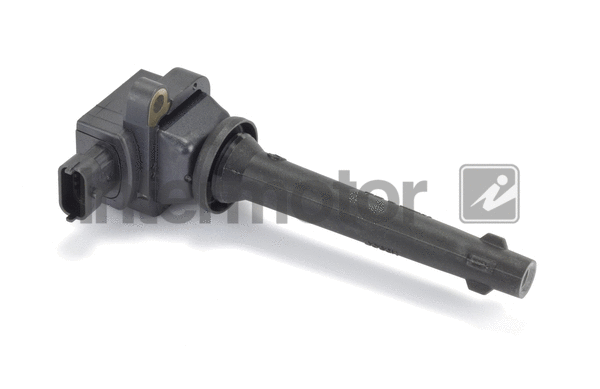 Ignition Coil (12450)