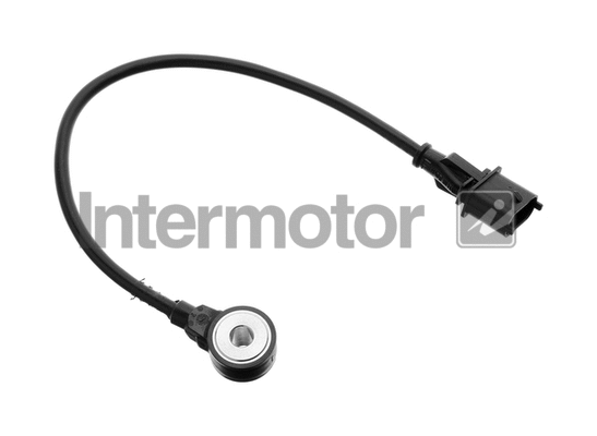 Knock Sensor (19535)