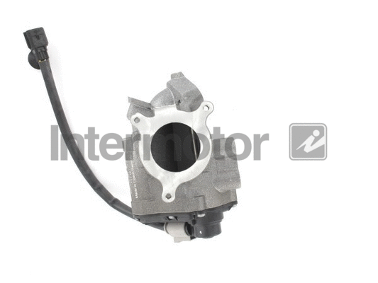 EGR Valve (14455)