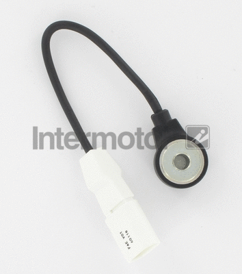Knock Sensor (19561)