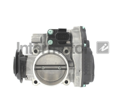 Throttle Body (68206)