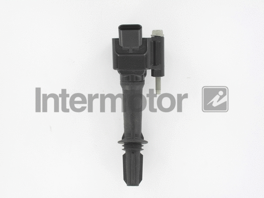 Ignition Coil (12176)