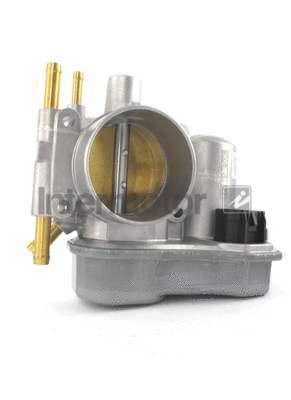 Throttle Body (68218)