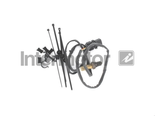Lambda Sensor (65081)