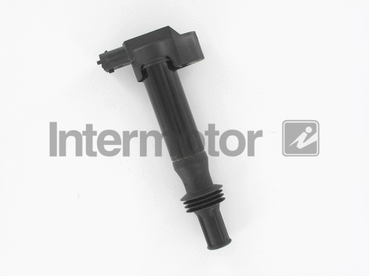 Ignition Coil (12182)