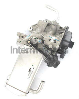 EGR Valve (18009)