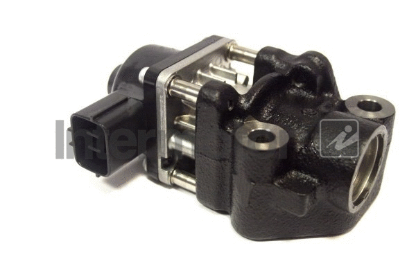 EGR Valve (14425)