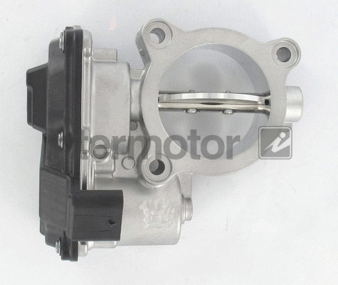Throttle Body (68439)