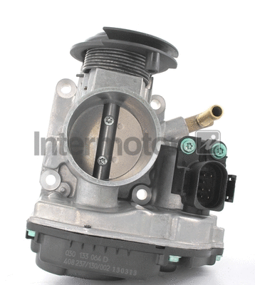 Throttle Body (68203)