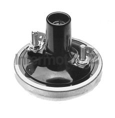 Ignition Coil (11010)