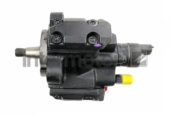 Injection Pump (88008)