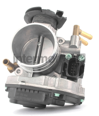Throttle Body (68202)