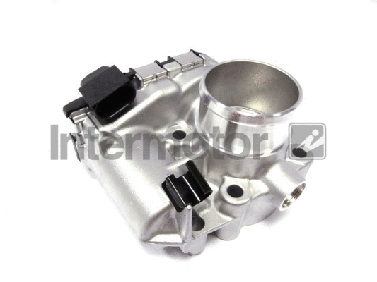 Throttle Body (68362)