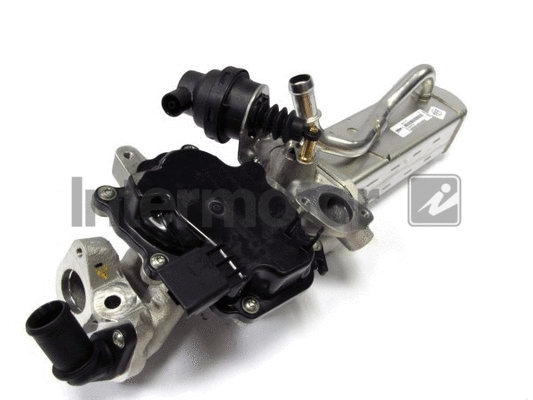 EGR Valve (18013)