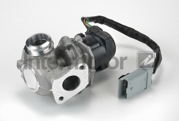 EGR Valve (14969)