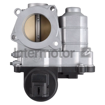Throttle Body (68411)