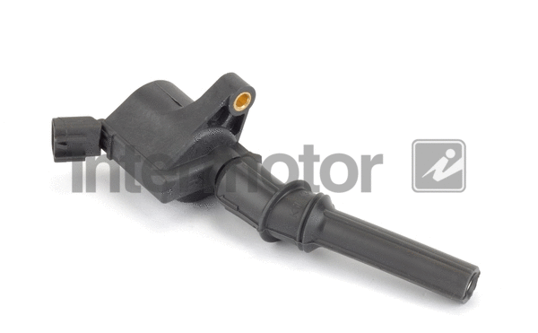 Ignition Coil (12496)