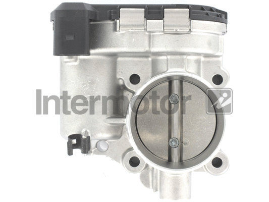 Throttle Body (68364)