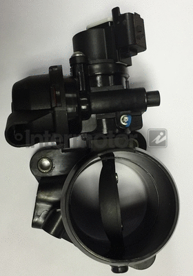 Throttle Body (68365)